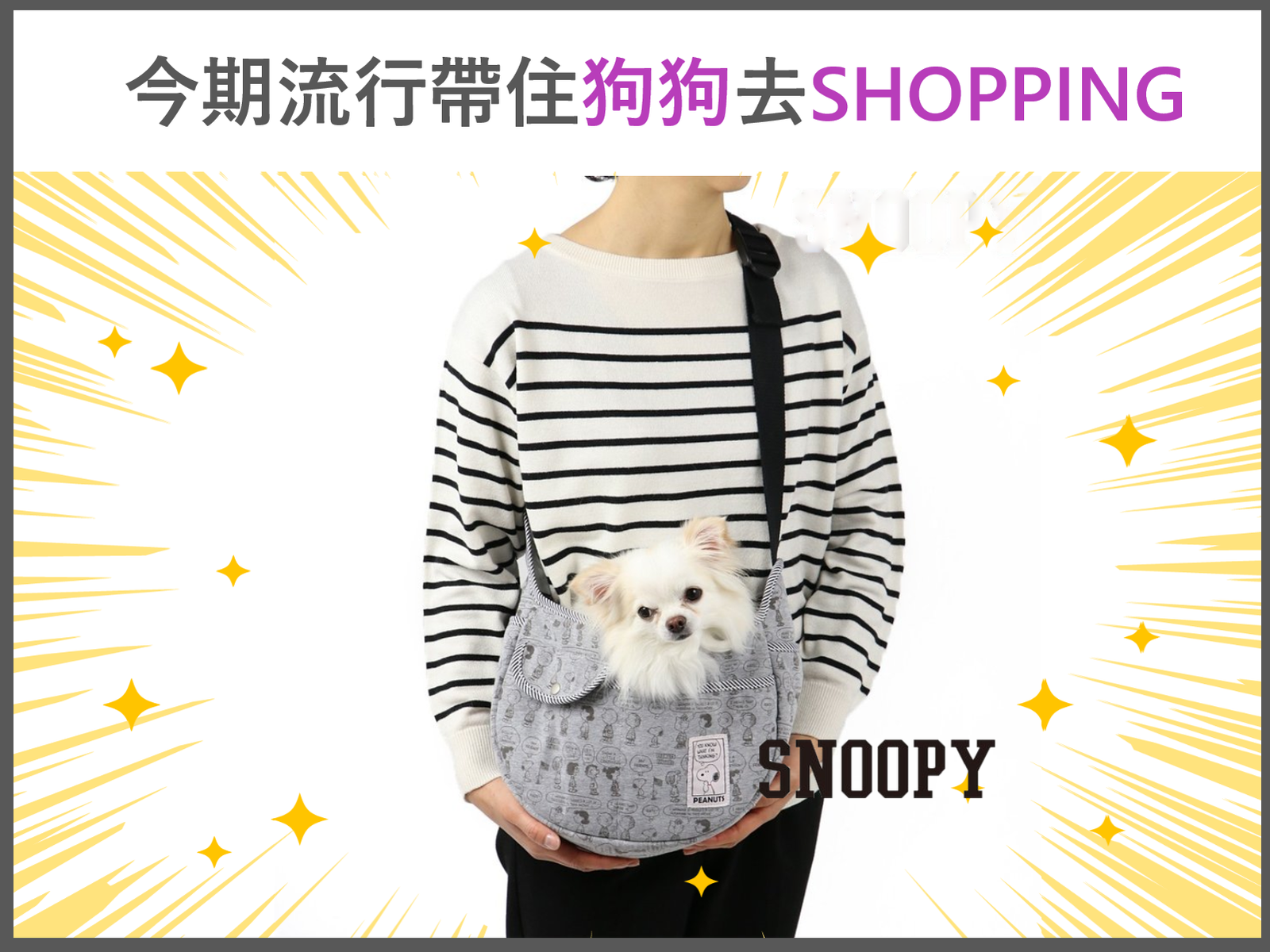 Snoopy 行街街寵物袋