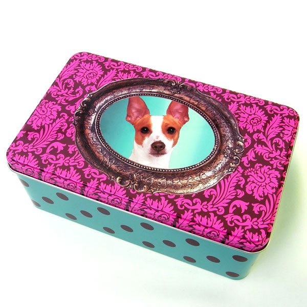 〖代購〗Catseye Tin Can